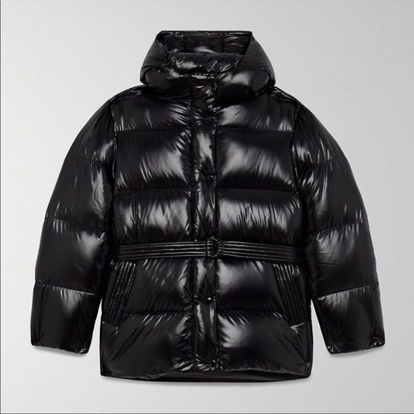 Aritzia Wilfred Free Down Puffer 